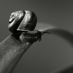 Skočím či neskočím ?