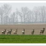 sest sest sest sest sest sest