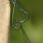 Makro sezona začíná