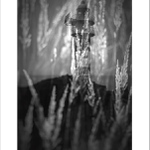 *** Mys dobrých nadějí ***