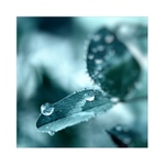 *** Šperkovnice ***