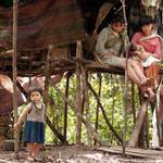 pralesní Penan - Borneo