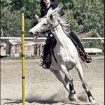 Westernová súťaž