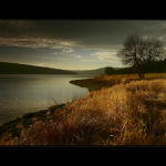 ..z toulek po Čechách..