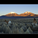 Parinacota y Pomerape