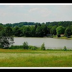 Oleška (rybník Děčínsko)