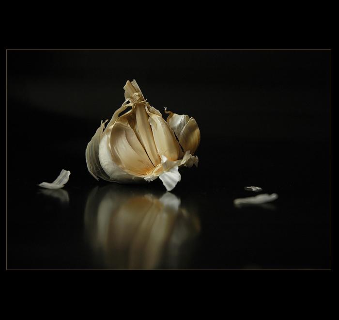 .: UKRADENO Z KUCHYNĚ :.