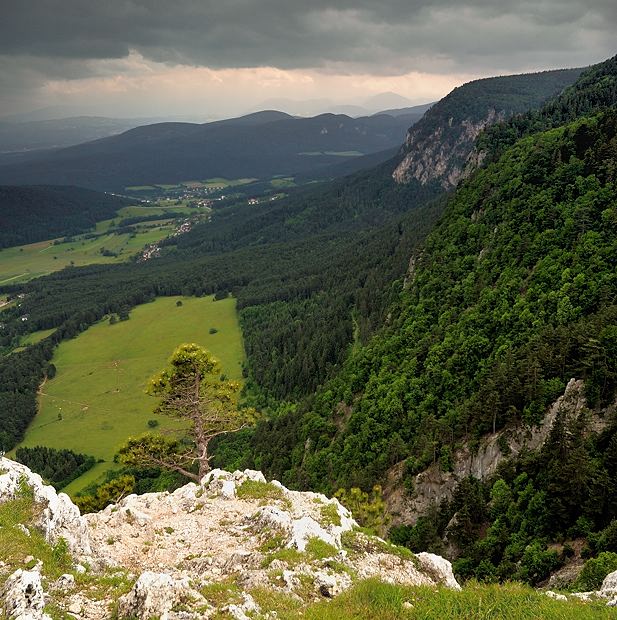 čekání na déšť