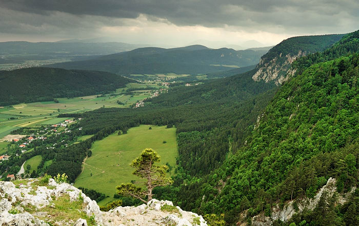 čekání na déšť