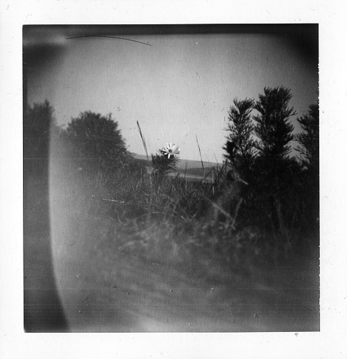 Čekající, zamyšlená