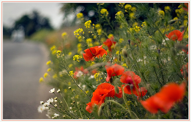 PŮVAB NESEKANÉHO PANGEJTU