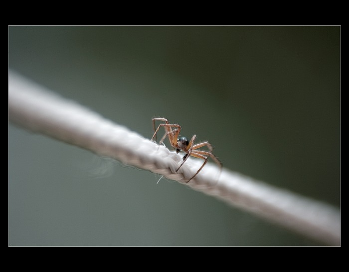 Sit,antivirus a pirat...