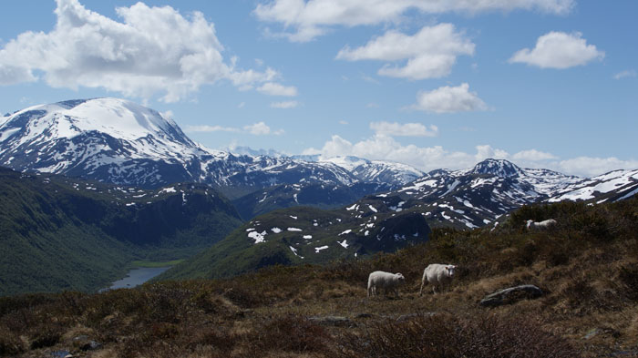 Norsko