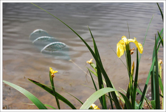 Když ryby neberou ...