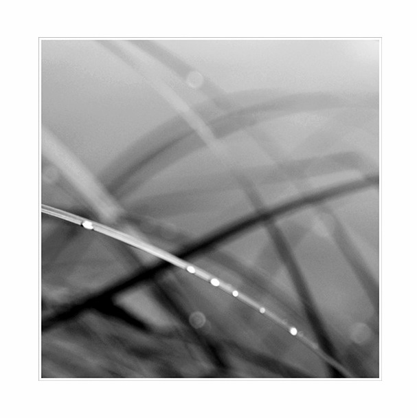 Poesis