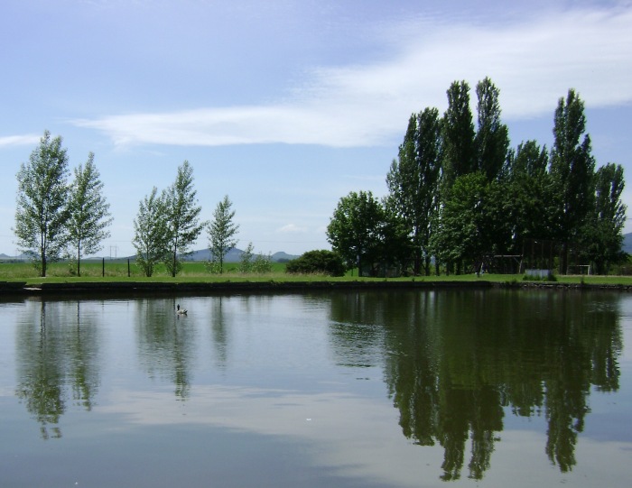 Odraz ve vodě