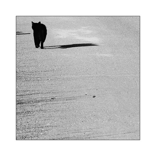  - odcházím -