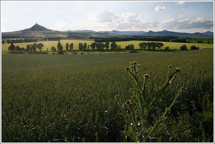 Házmburk v protisvětle.