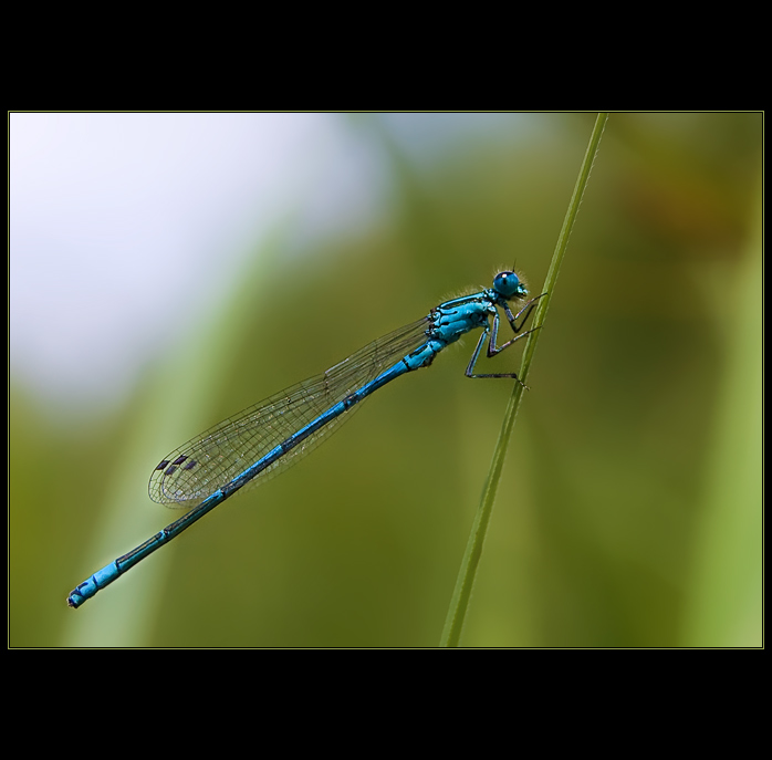 Moje první vodováha...