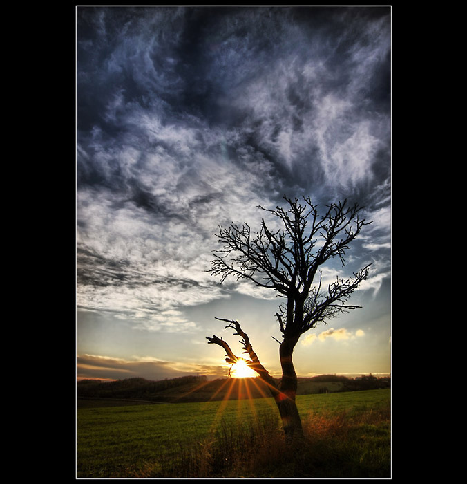 Príbeh stromu- ranné hrátky