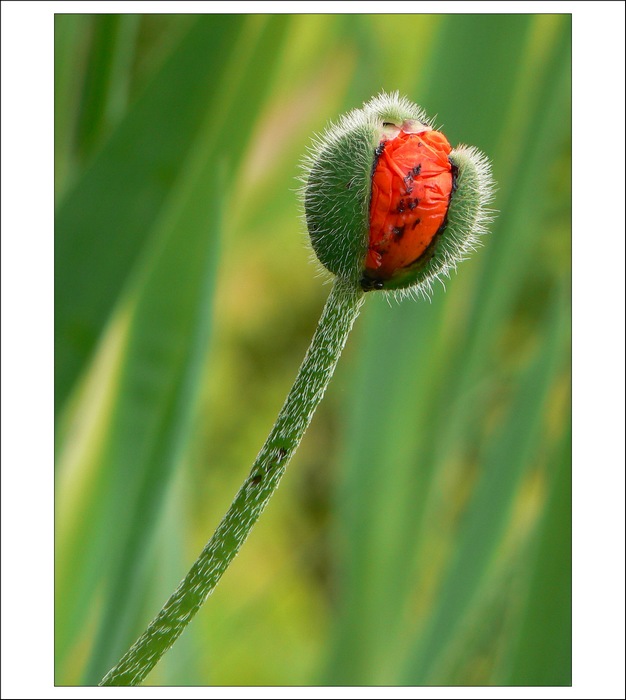 Za chvíli jsem venku