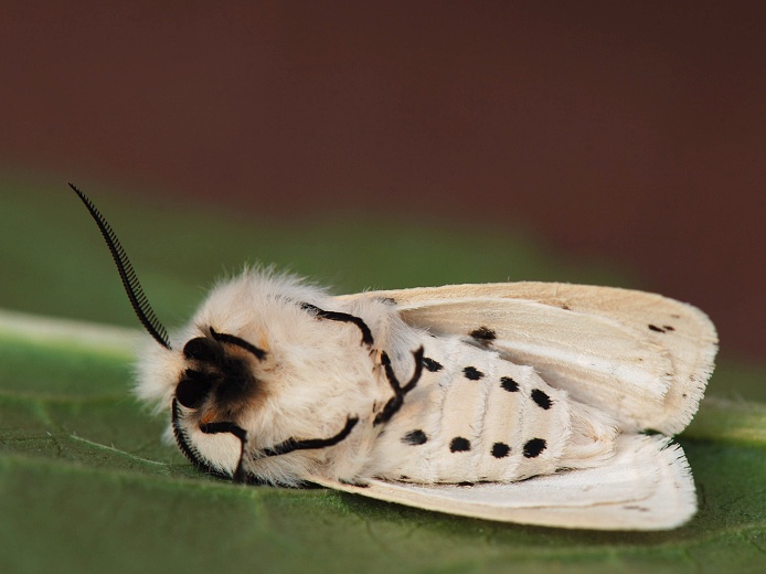 ještě si dám šlofíka