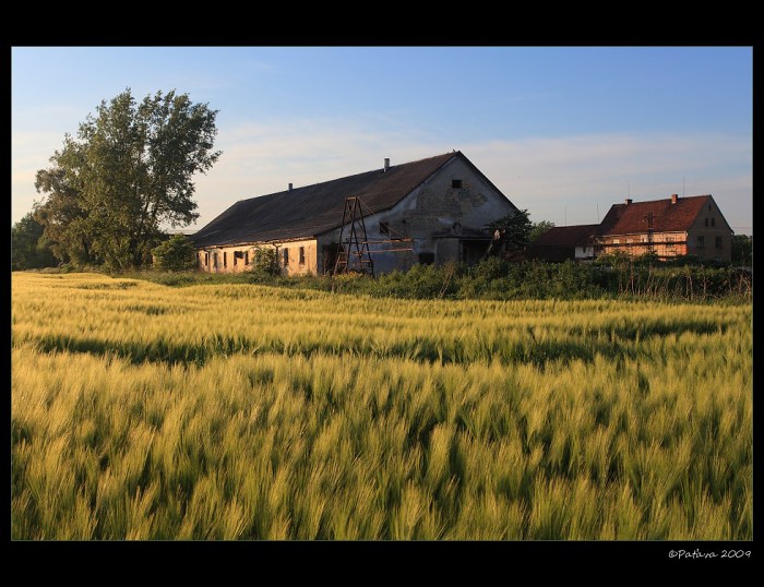 Vesnická