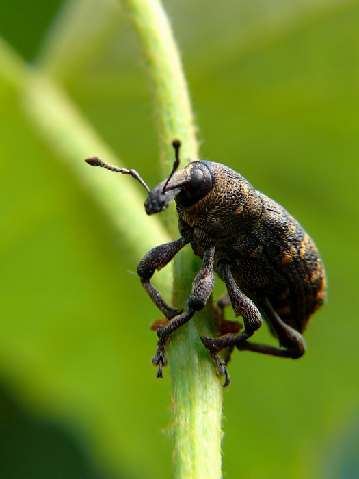 Chcem sa stať požiarnikom...
