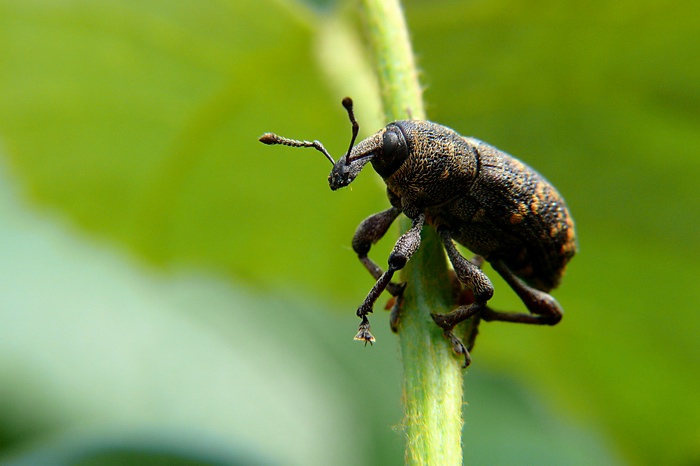 po druhý krát budúci požiarnik