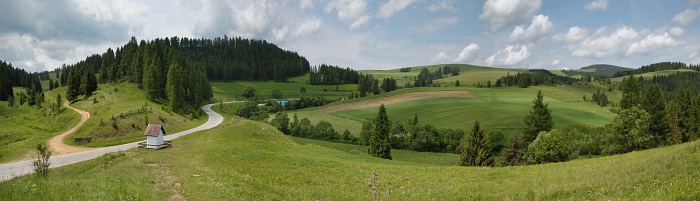 cesta