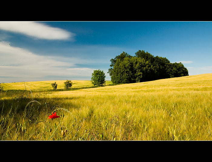 ... o červené menšině ...