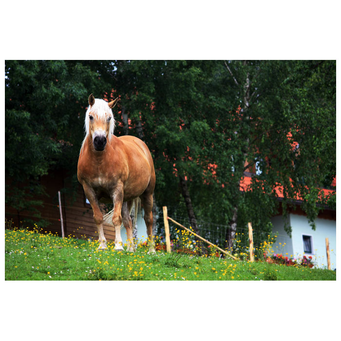 :.SETKÁNÍ.: