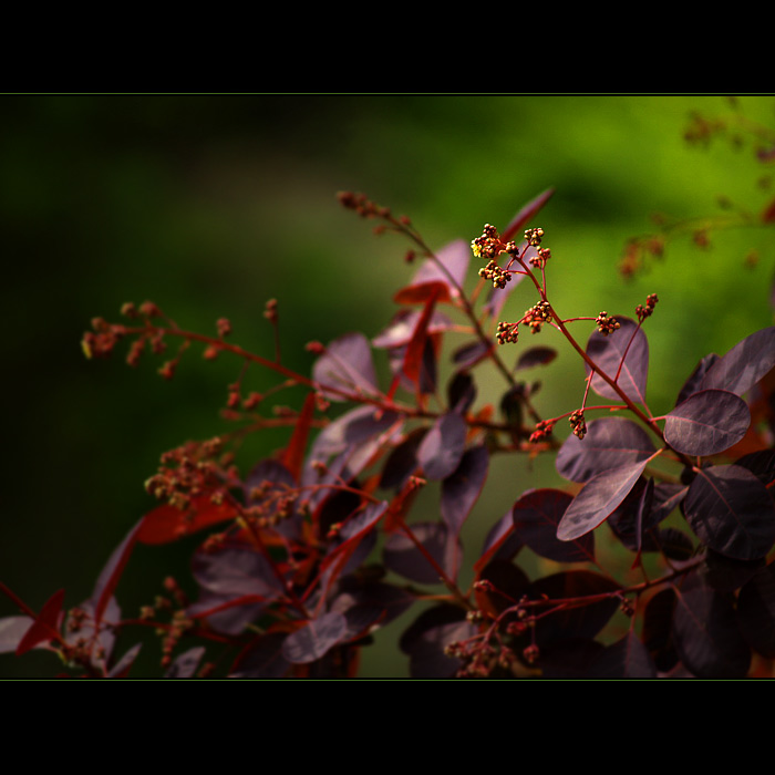 ***BYL TAM SÁM MEZI VŠEMI***