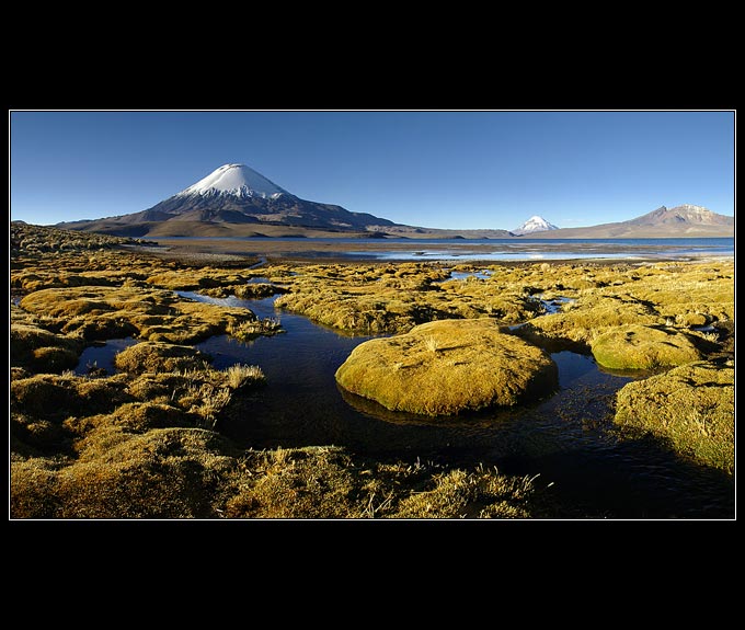 Lauca P. N.