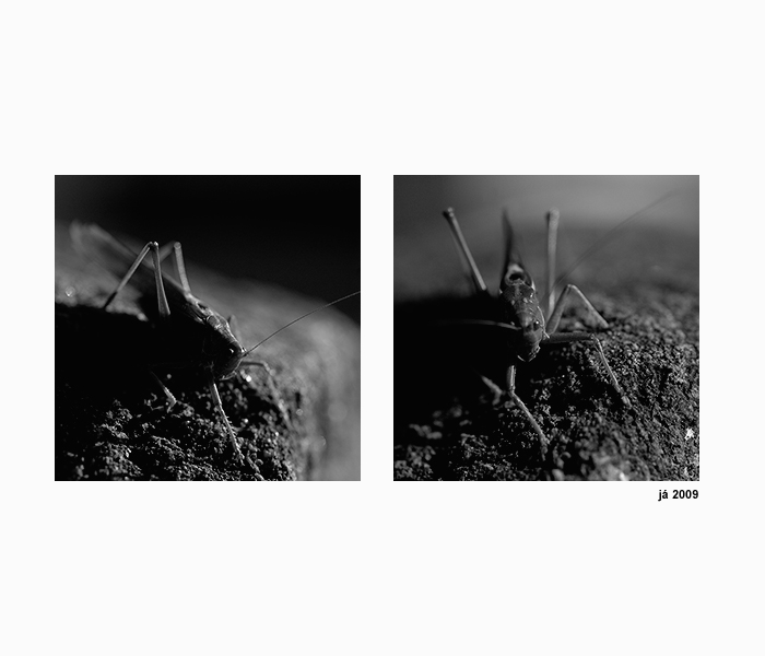 = Kdyz uz nevim co by ... =