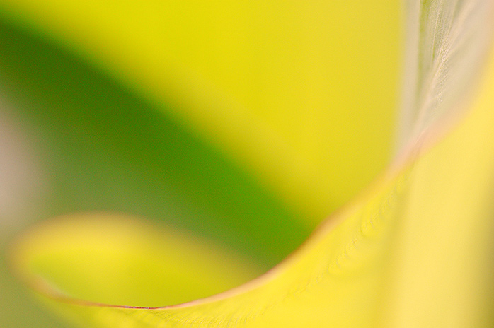 = Minimalistovo ráno I. =