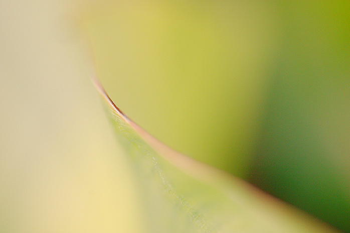 = Minimalistovo ráno II. =