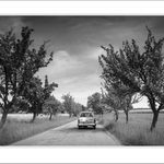 .: po silnici v popelnici..? :.