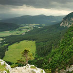 čekání na déšť