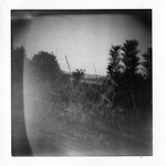 Čekající, zamyšlená