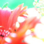 Cestičkou světelnou...