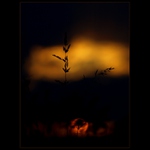 Povídej... ještě než usnu..