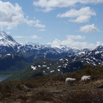 Norsko