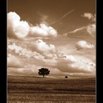 Čáry máry po obloze...