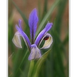 Tobogán pro berušky