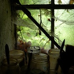 Zátiší se štětci