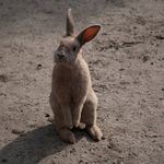 Co to máš za foťák, kámo?