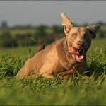 Podvečerní zakroucení...