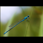 Moje první vodováha...