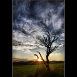 Príbeh stromu- ranné hrátky